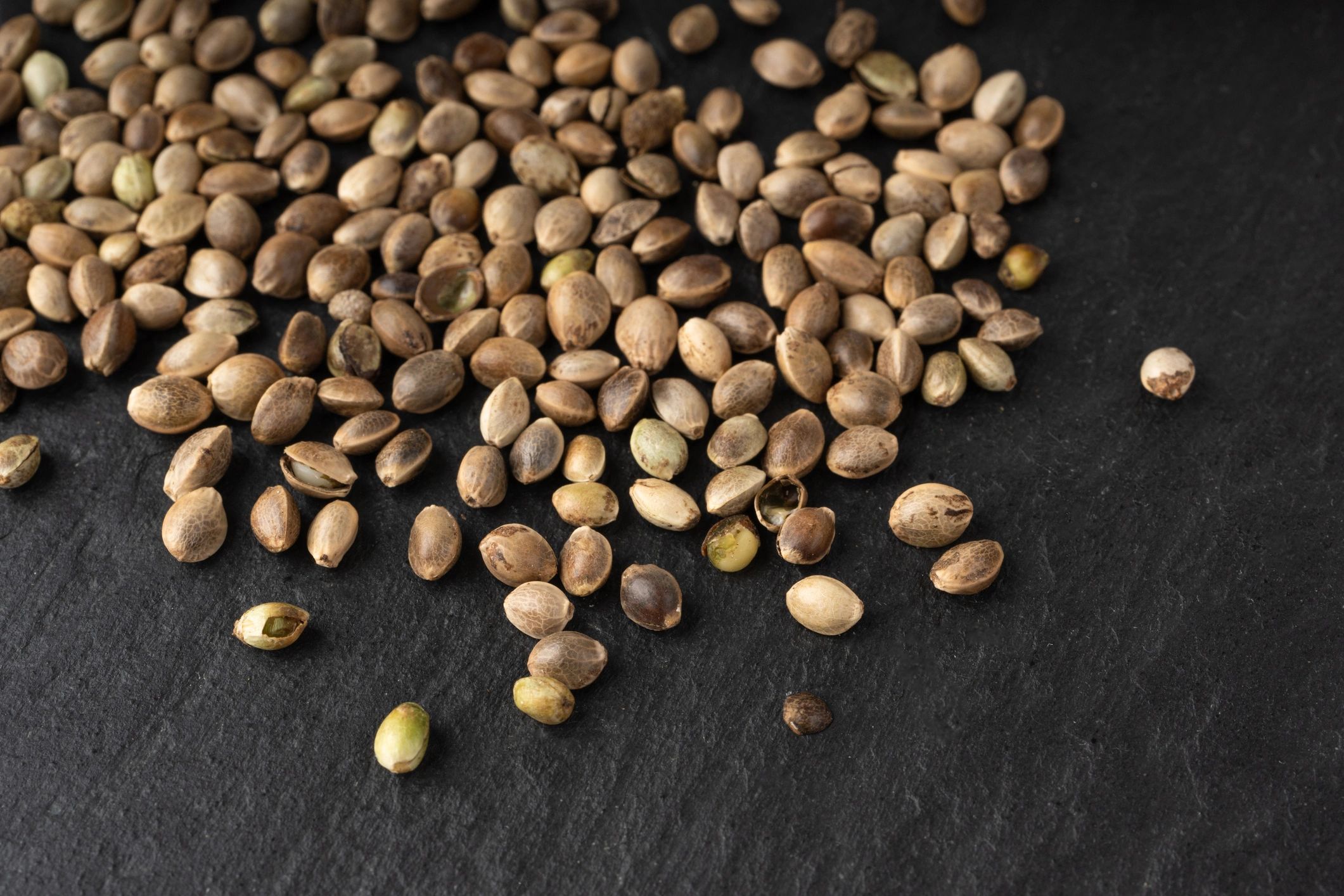 Hemp seeds background