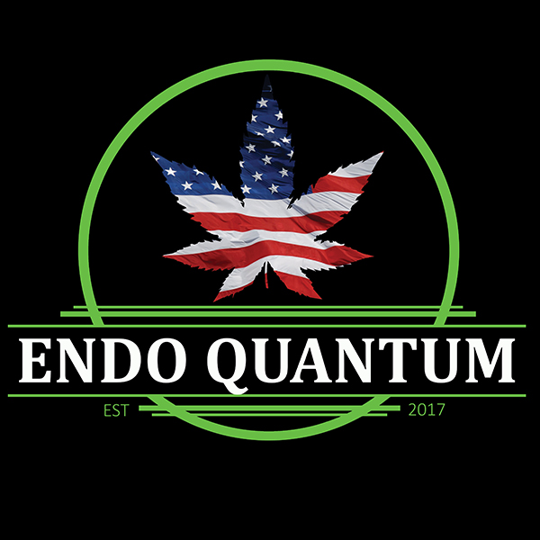 EndoQuantum