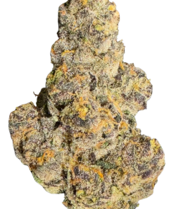 EXOTIC INDOOR BLUE SHARPIE (28g)