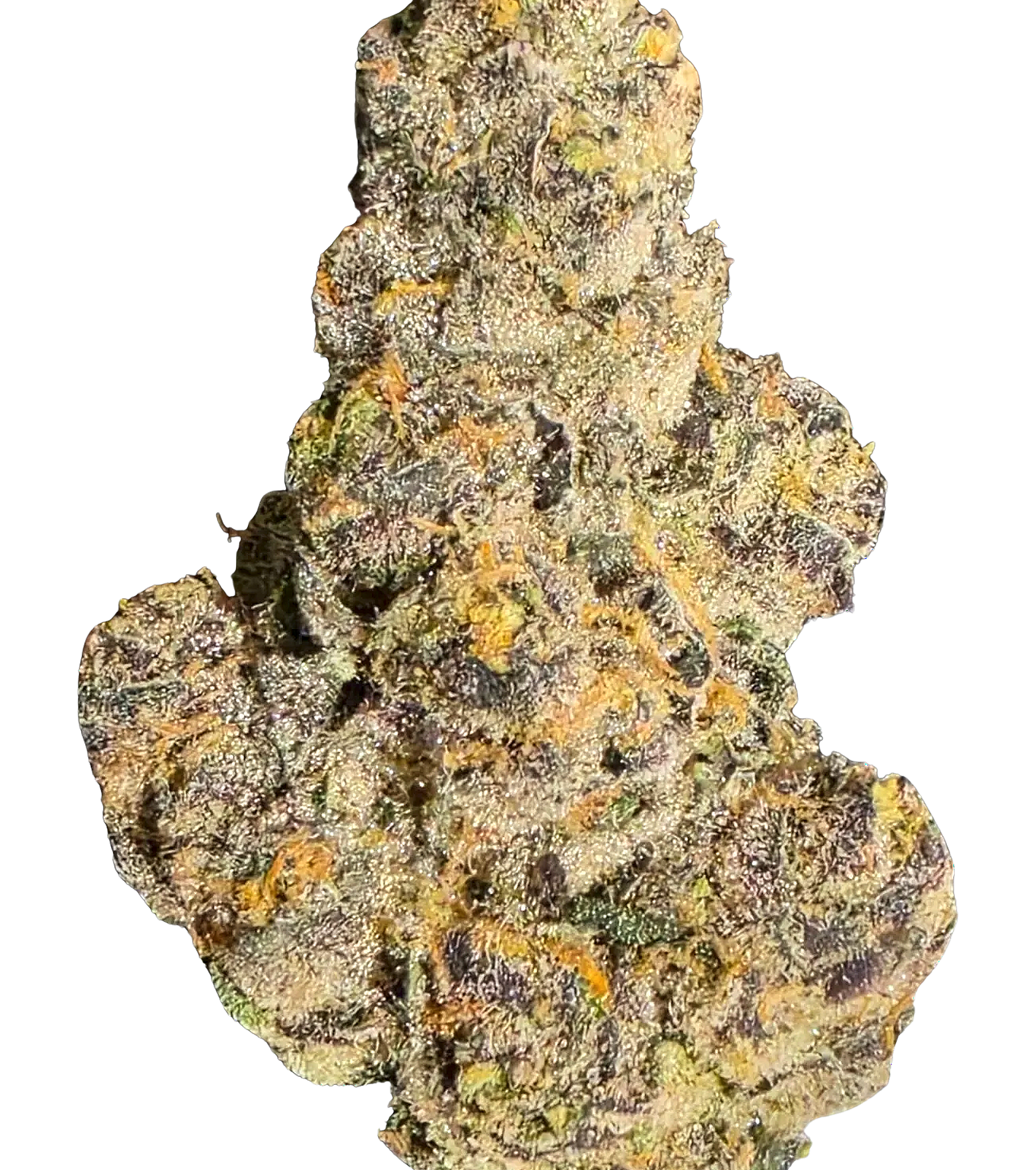 EXOTIC INDOOR BLUE SHARPIE (28g)