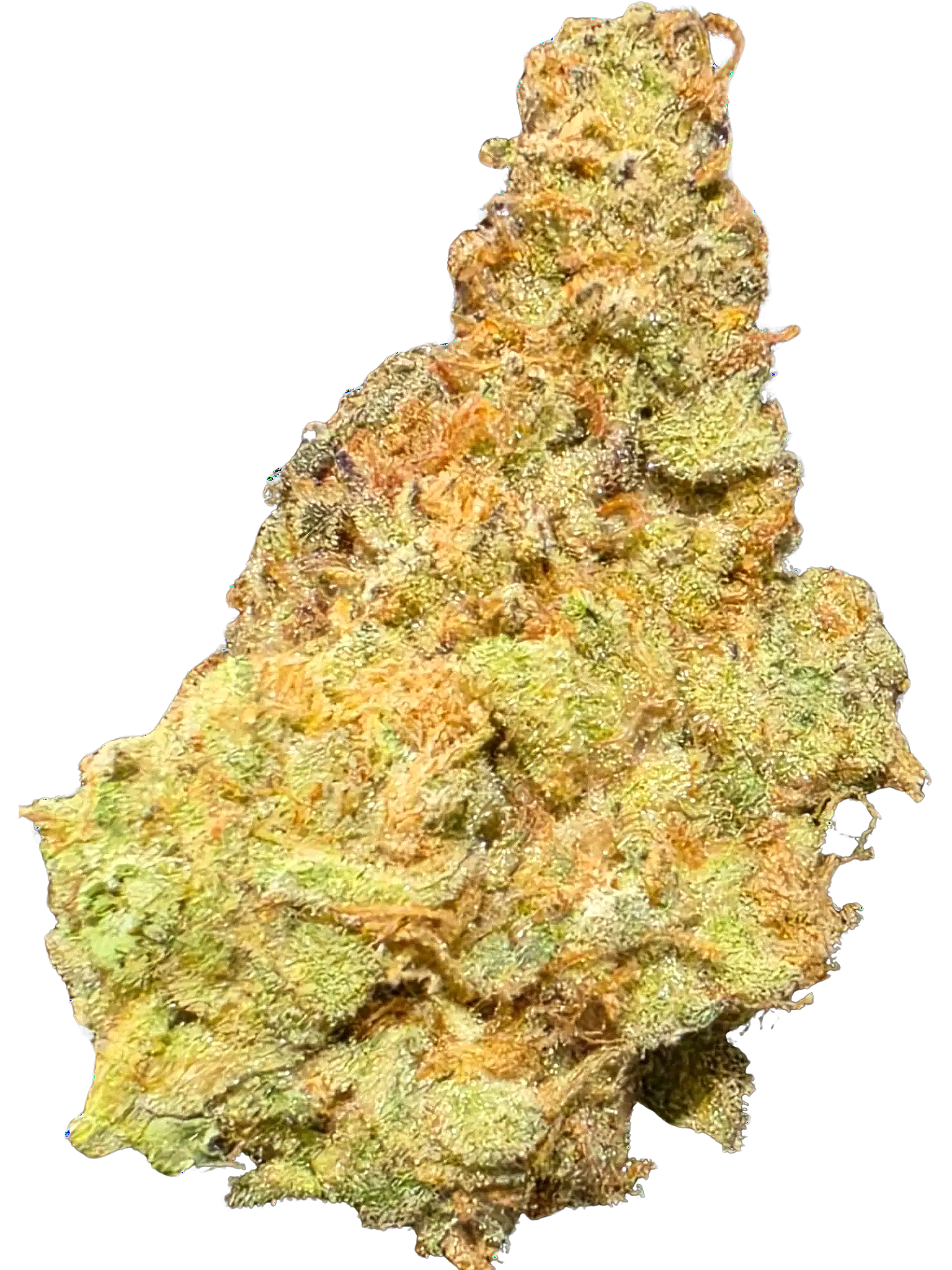EXOTIC INDOOR SOUR CANDY LOPE (28g)
