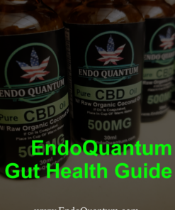ENDOQUANTUM GUT HEALTH GUIDE