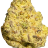EXOTIC INDOOR 10x CYBORG (28g)