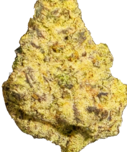 EXOTIC INDOOR 10x CYBORG (28g)