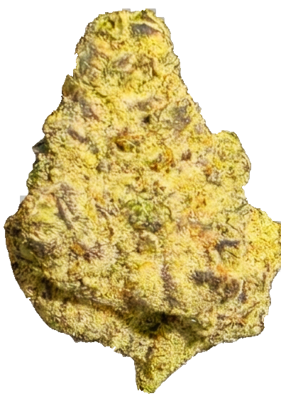 EXOTIC INDOOR 10x CYBORG (28g)