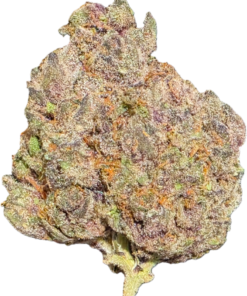 EXOTIC INDOOR TROPICAL CHERRY (7g)