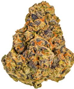EXOTIC INDOOR DYOR (7g)