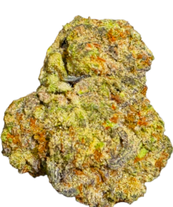 INDOOR KINGLATO (28g)