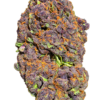 EXOTIC INDOOR TROPICAL CHERRY (7g)